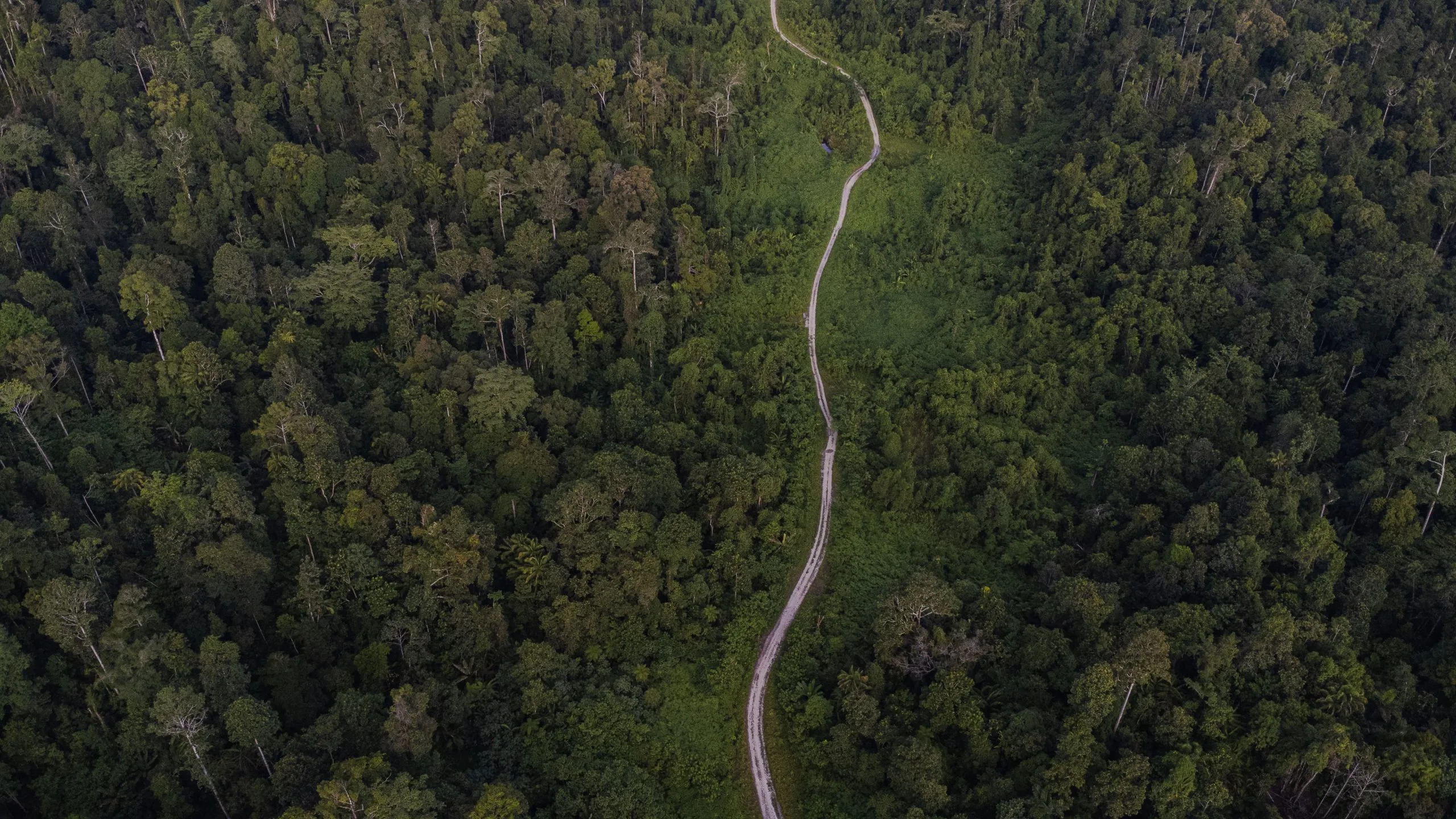 DJI_0391